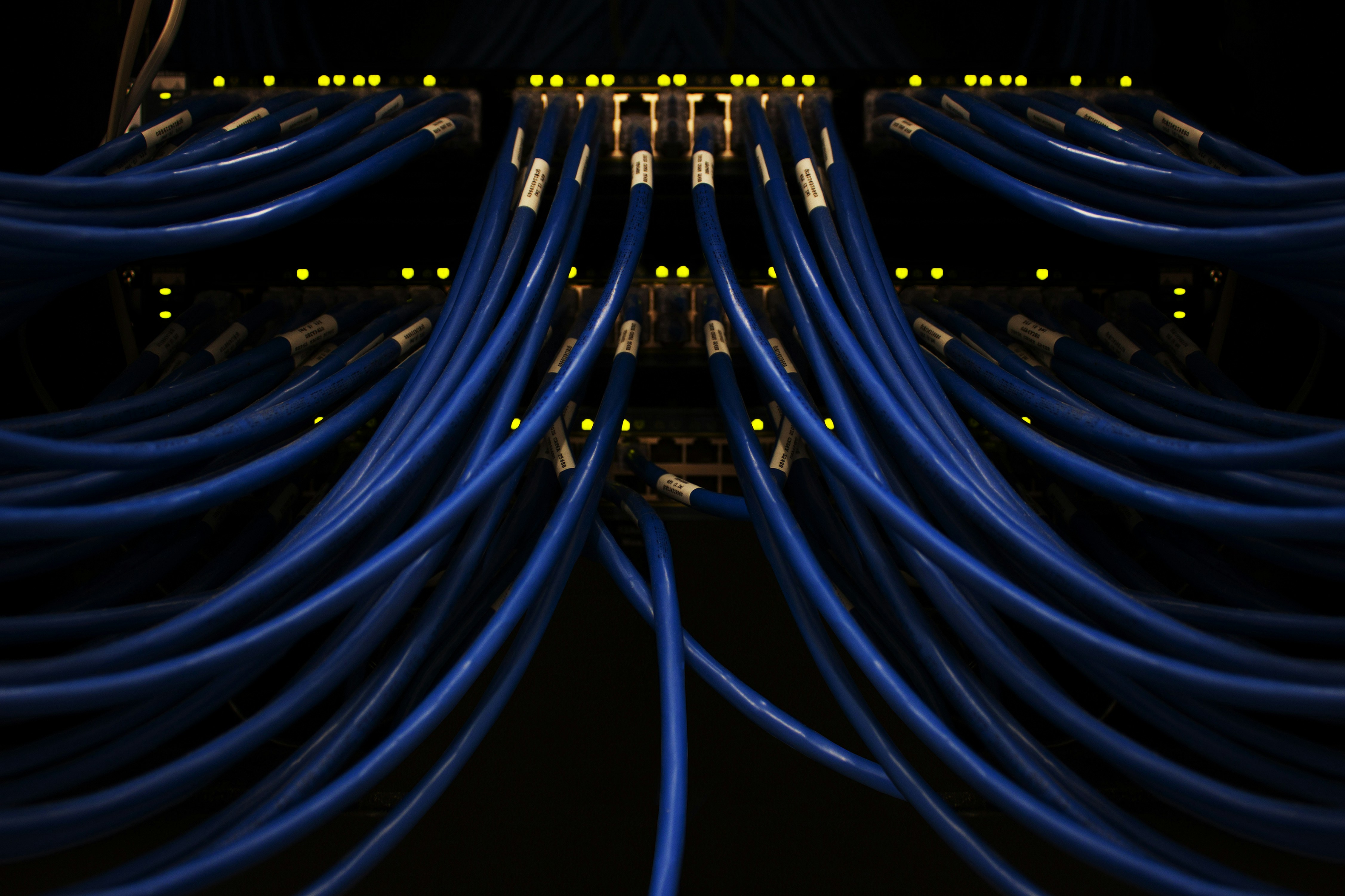 Labelled network cables fanned into a lit patch panel