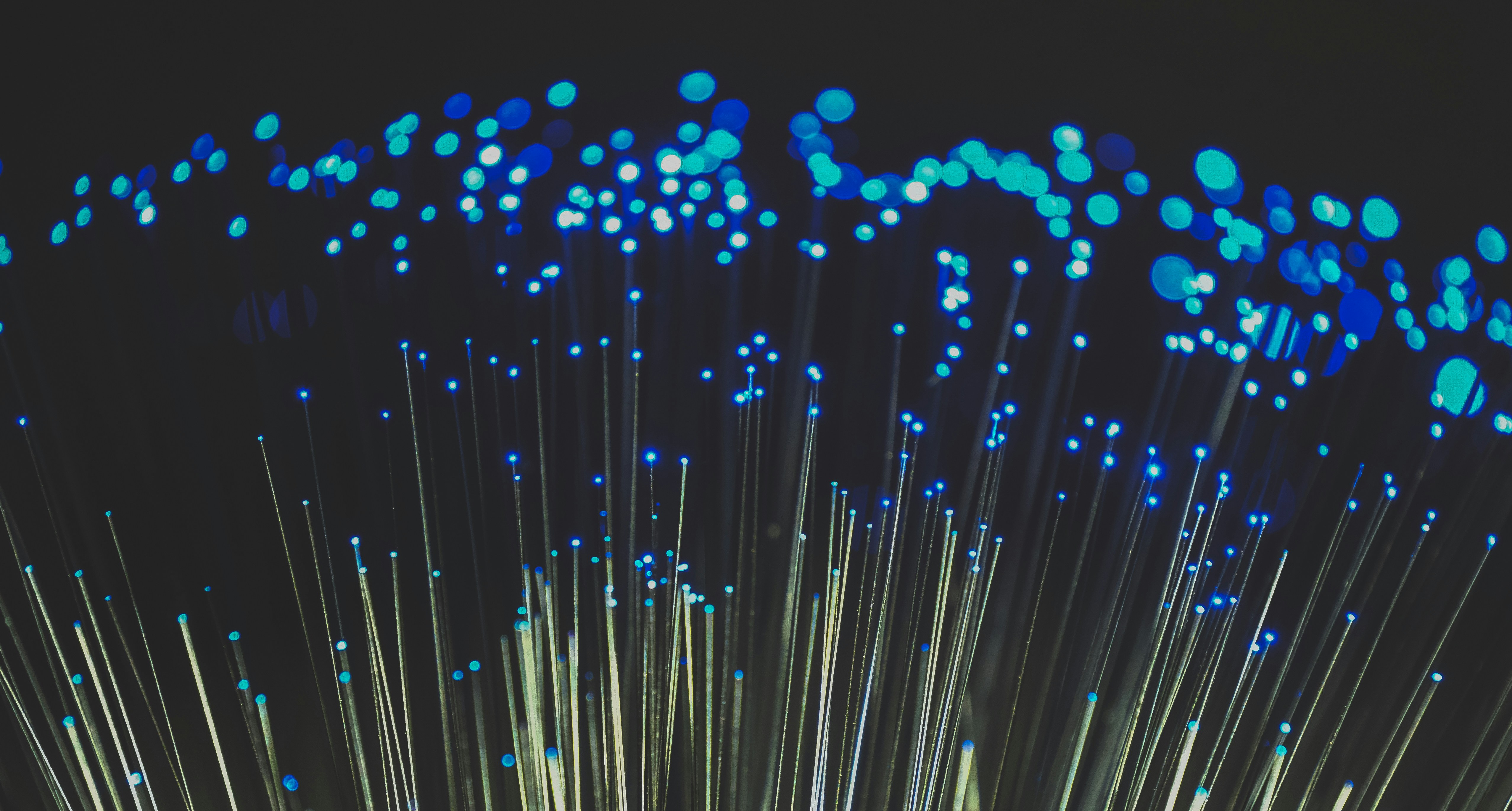 Illuminated fibre optic strands glowing blue against a dark background