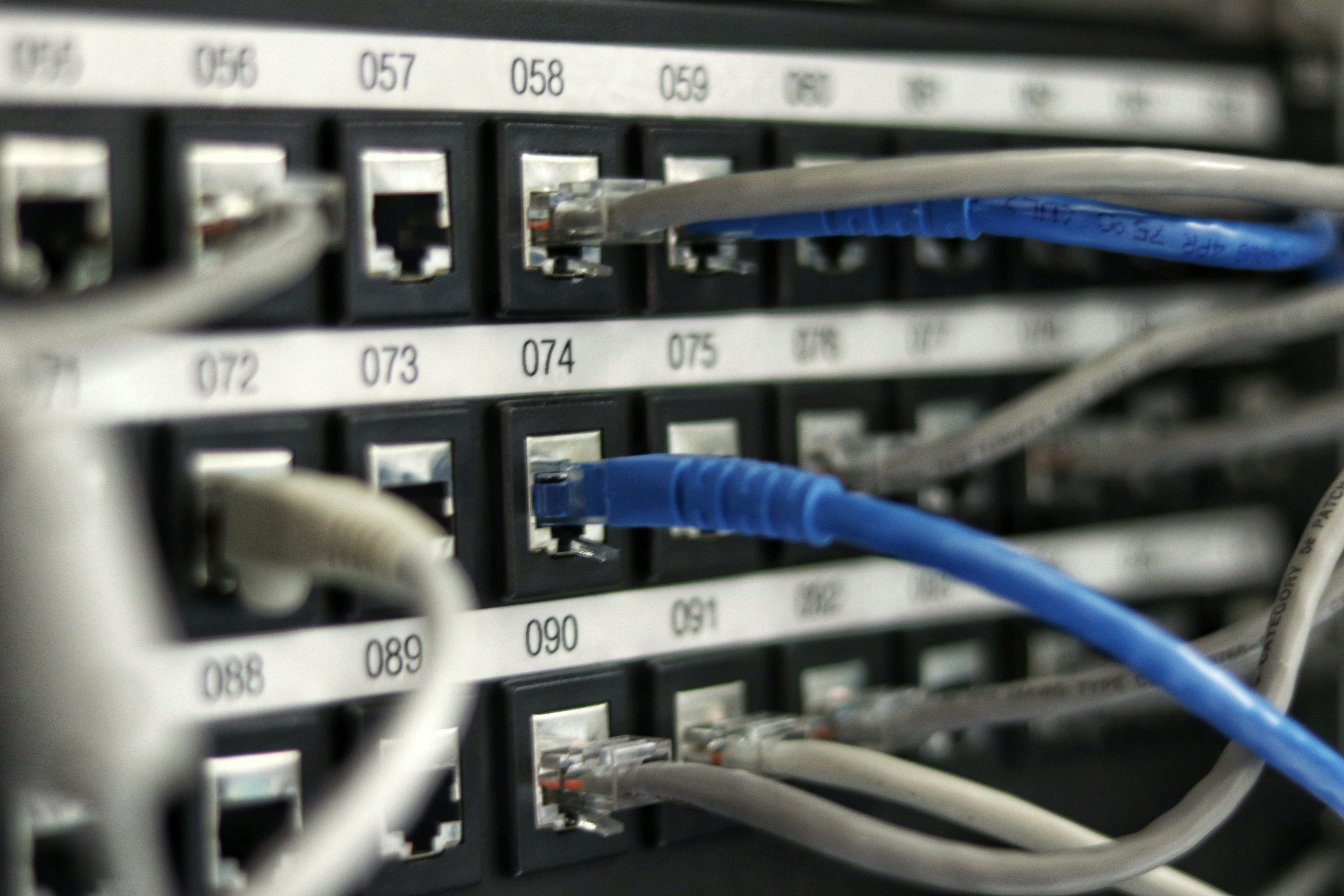 Patch panel with numbered ports and network cables plugged in